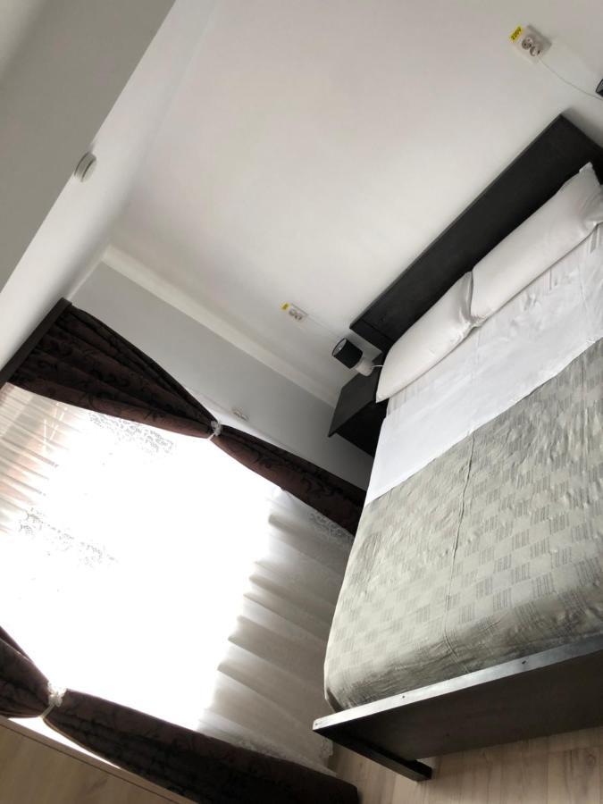 Casa Mocanitei Vişeu de Sus 외부 사진