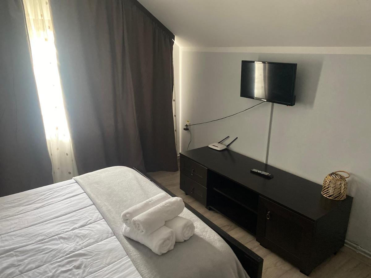 Casa Mocanitei Vişeu de Sus 외부 사진