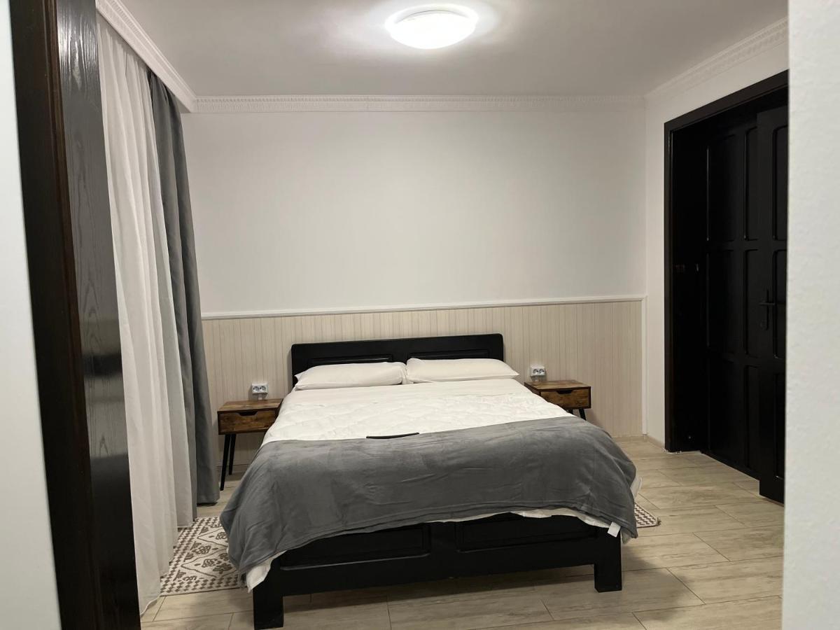 Casa Mocanitei Vişeu de Sus 외부 사진
