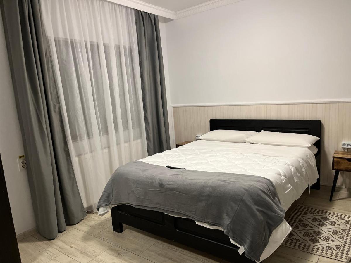 Casa Mocanitei Vişeu de Sus 외부 사진