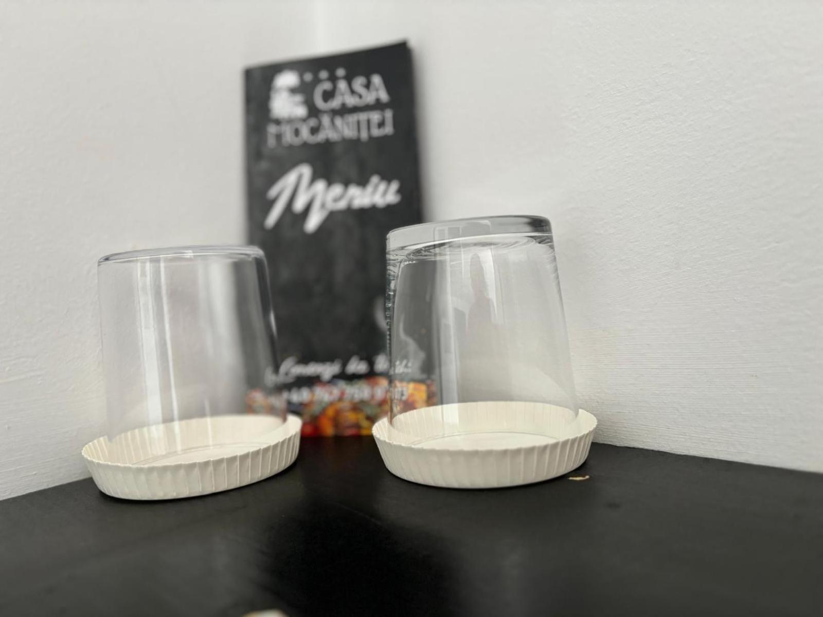 Casa Mocanitei Vişeu de Sus 외부 사진
