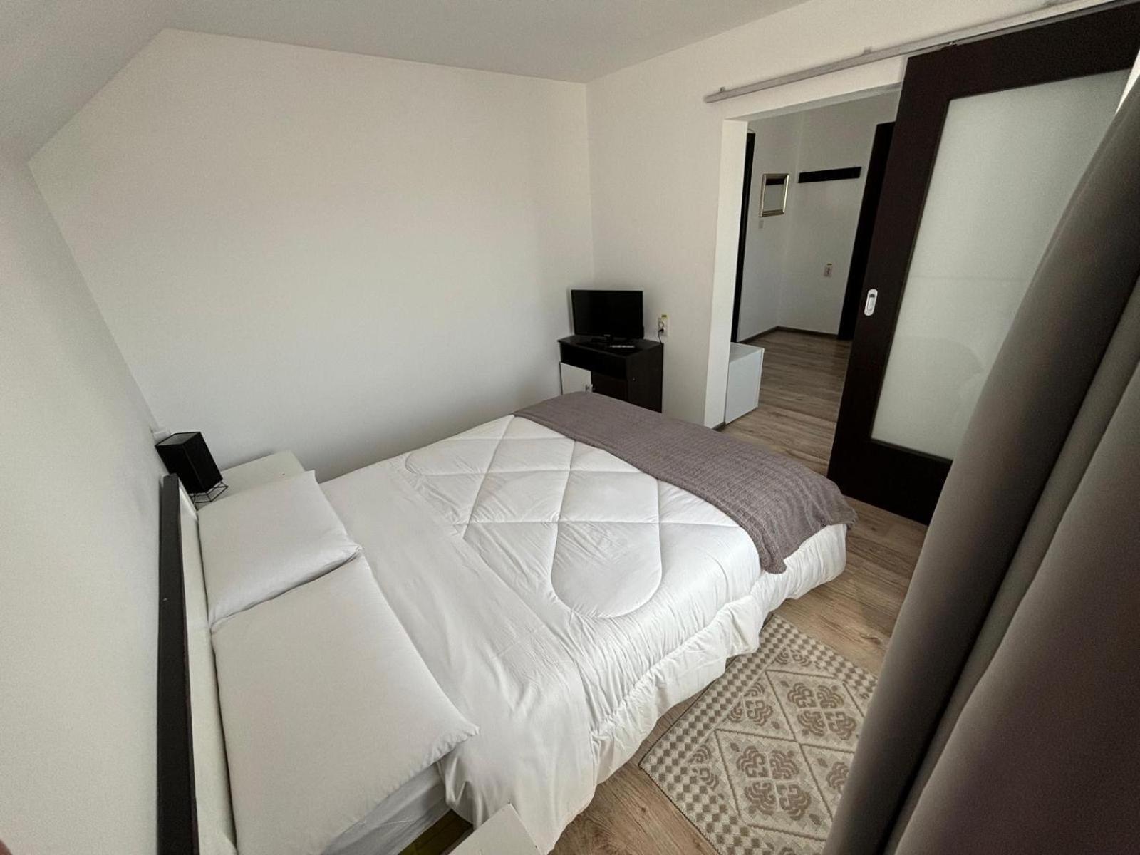 Casa Mocanitei Vişeu de Sus 외부 사진